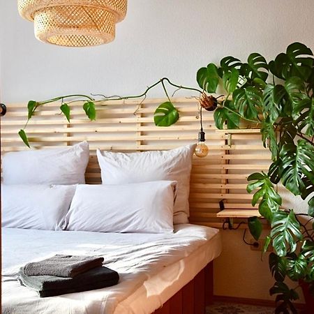 Greenbnbs: Cozy Urban Jungle In The City Centre Essen Kültér fotó