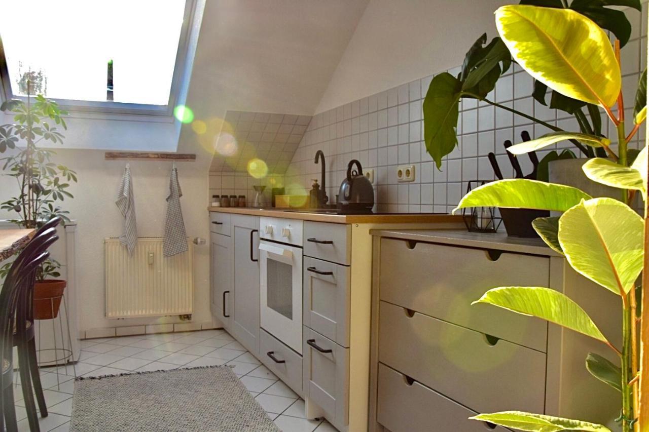 Greenbnbs: Cozy Urban Jungle In The City Centre Essen Kültér fotó