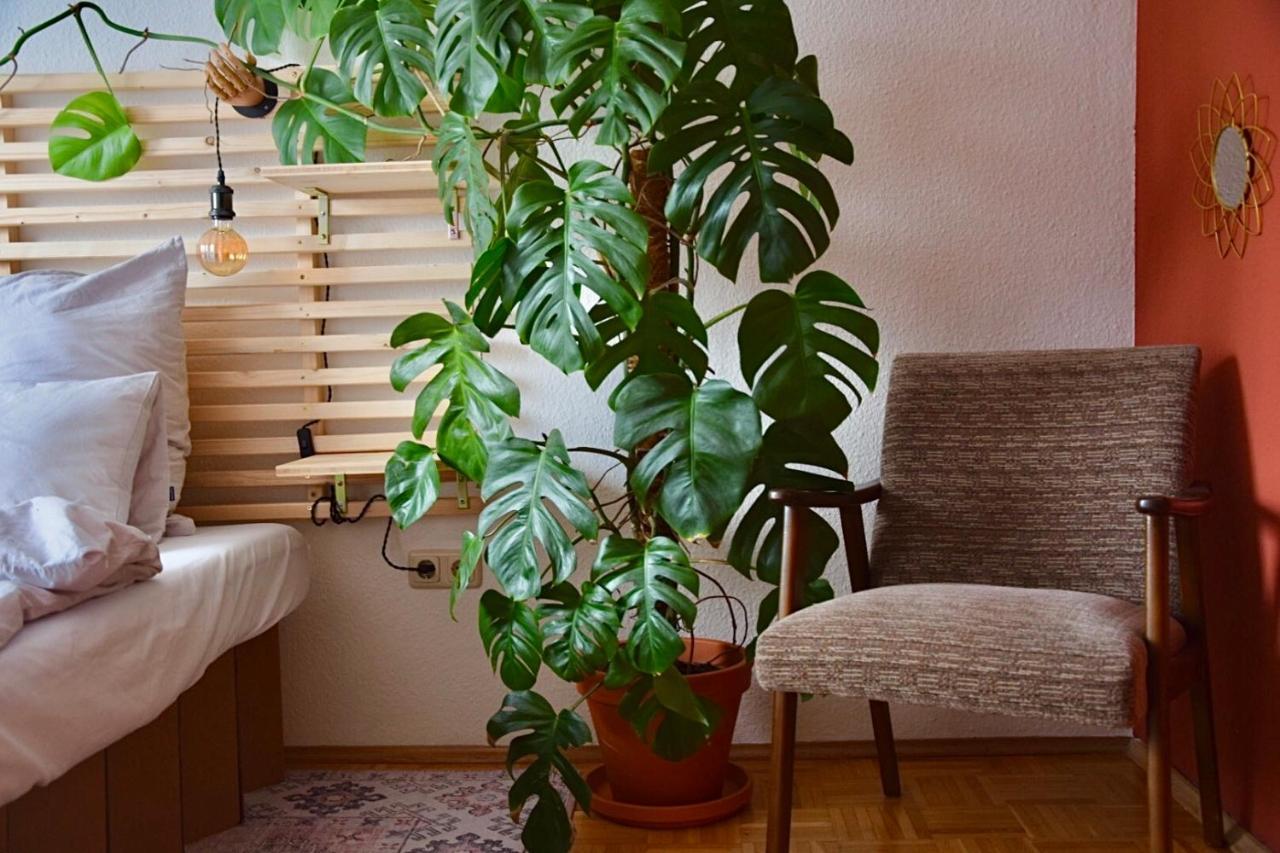 Greenbnbs: Cozy Urban Jungle In The City Centre Essen Kültér fotó