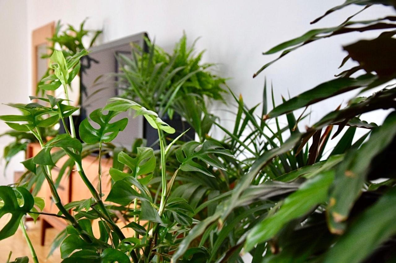 Greenbnbs: Cozy Urban Jungle In The City Centre Essen Kültér fotó