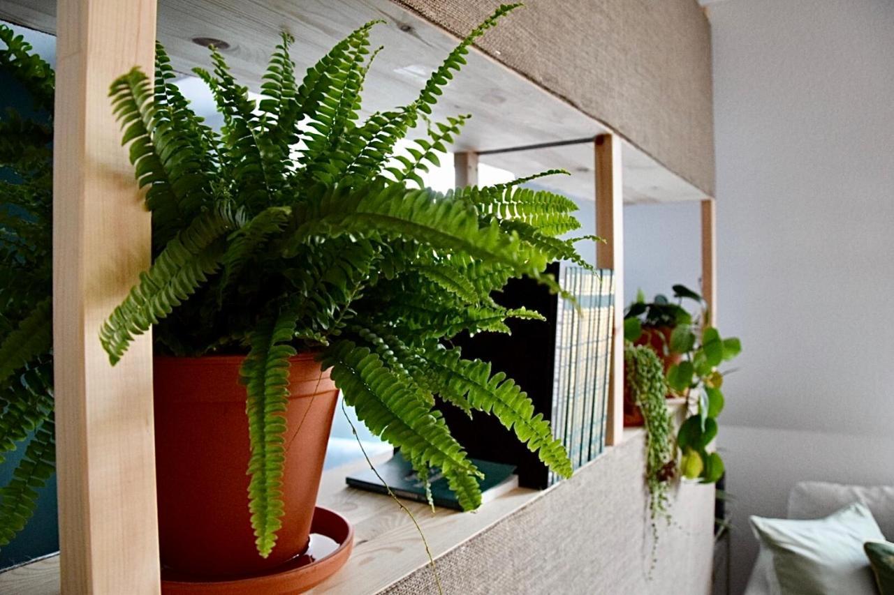 Greenbnbs: Cozy Urban Jungle In The City Centre Essen Kültér fotó